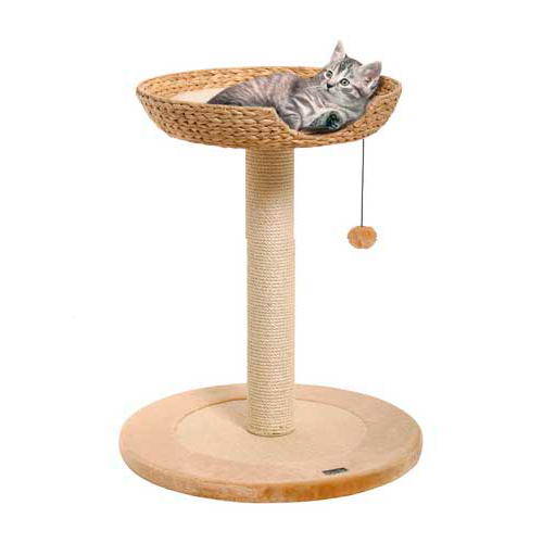 arbre a chat feuille